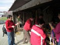 023  IMG_3142